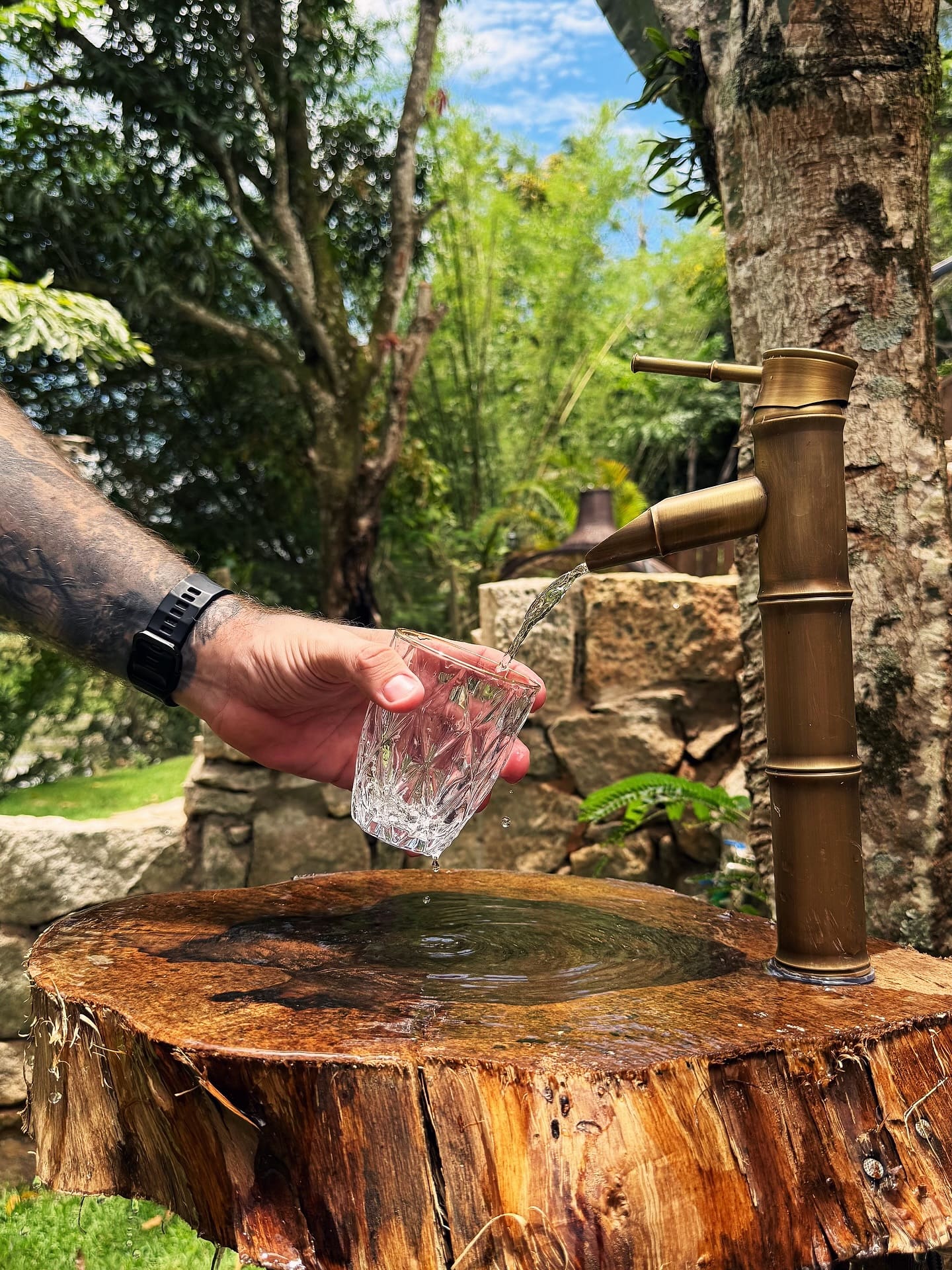 Bica de bronze em formato de bambu enchendo um copo de cristal sobre tronco de madeira, em meio à vegetação